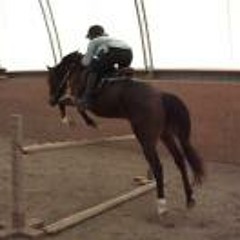 Devan Dowbiggin Glew