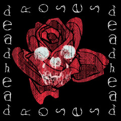 Deadhead Roses