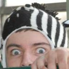 Marcelo Andres Villalobos