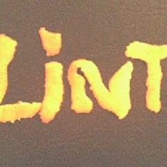 Lint
