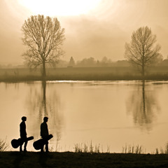 The Reflecting Elephants