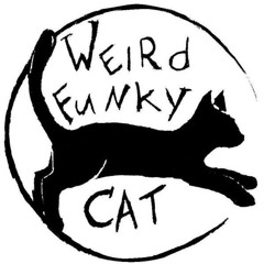 Weird Funky Cat