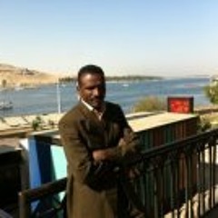 ayman kamal