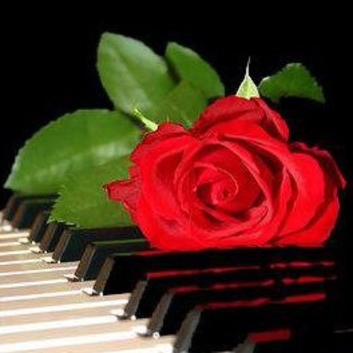 Austin Winters - No More Tears (David Nevue cover)