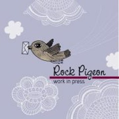 Rock Pigeon