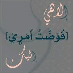 Norseen Elhady