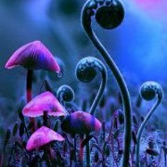 psyaddict