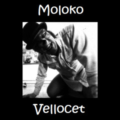 Moloko Vellocet G.