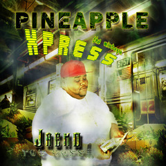 Jaemo BossHogg Banks