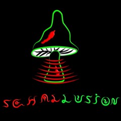 Schallusion