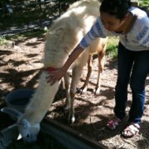 Stream Kanako Yamaguchi 1 music | Listen to songs, albums, playlists