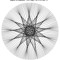 Braincloud