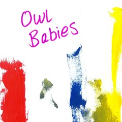 Owl Babies