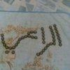 Mahmood Elraee