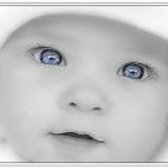 Kjetil Sebastian Johnsen