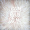 COMPANION