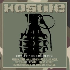 xXx Hostile