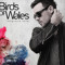 Birdsofwales