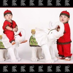CHING AI TE PU YAU LI KHAI WO
