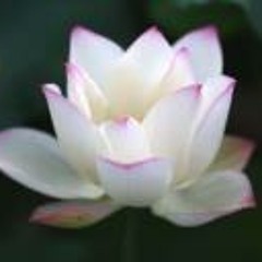 Paola Castillo Otoya