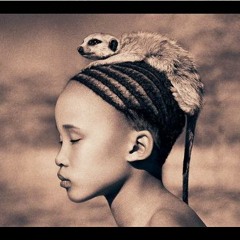 13 solaris heights - elementis