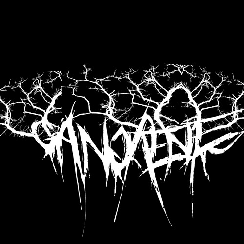 Live @  Multisound Dunkerque 04/2015