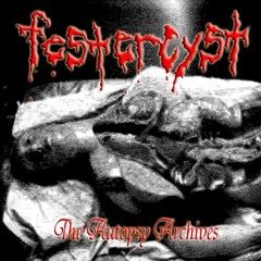 Stream Festercyst music | Listen to songs, albums, playlists for ...