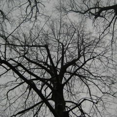 11 Gymnopédie No. 1