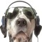 SnOoPy