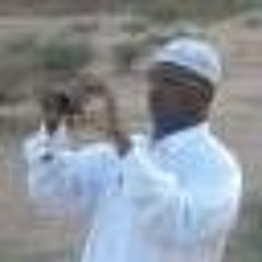 Abadi Al-hausa