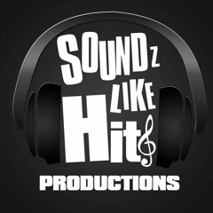 soundzlikehits