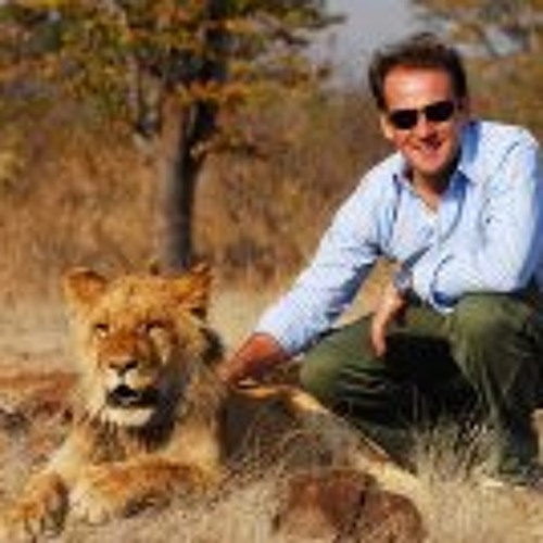 Stream Benjamin Faes music | Listen to songs, albums, playlists for ...