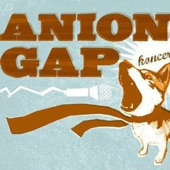 Anion Gap