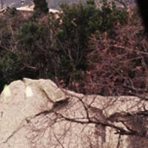 Boards of Canada - Basefree