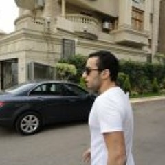 Mahmoud H. Abou'l Enain