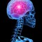 neurosurgeon