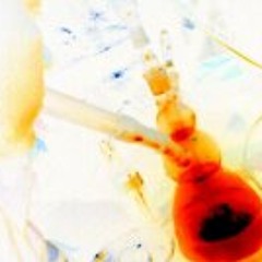 Riccardo Spacca Tello