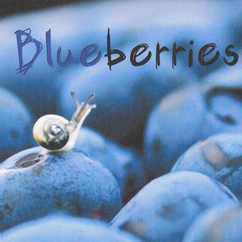 Blueberries’s avatar