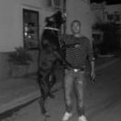 Tano Pappalardo