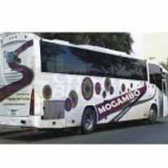 Mogambo Internacional