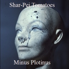 Shar-Pei Tomatoes