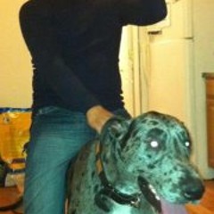 Carlos Andres Meneses