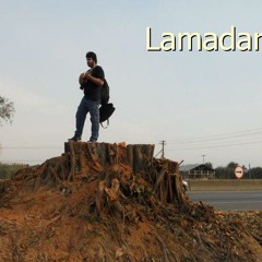 Lamadart