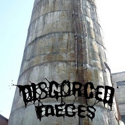 Disgorged Faeces - Flood Of The Fulfilled Nuclear Fuel