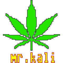 mr.kali