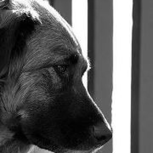 Cult of Sue Todd: On Losing Friends