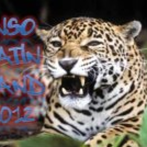 Stream Banda Inso music | Listen to songs, albums, playlists for free ...