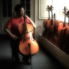 Ob de Cellist