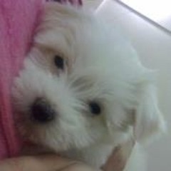 Christine Hany Sorial