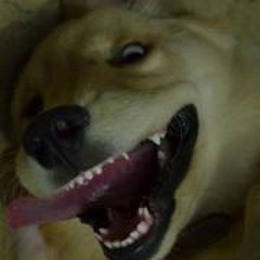 Awang Tjitrodihardjo